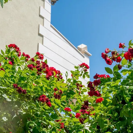 Apartament Andjelka-1 By Interhome Trogir