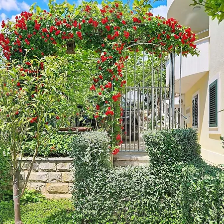 Apartment Villa Andjelka-1 By Interhome Apartment *