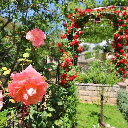 Andjelka-1 By Interhome شقة