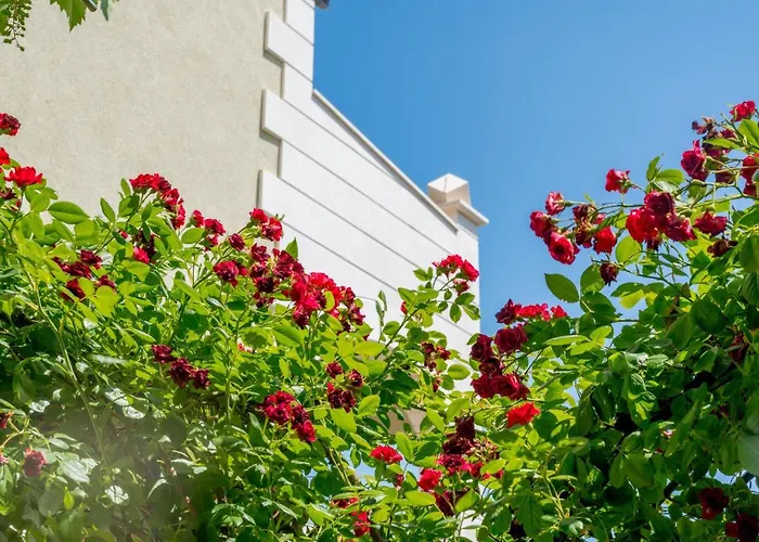 Apartamento Andjelka-1 By Interhome Trogir