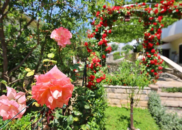 Andjelka-1 By Interhome Apartamento